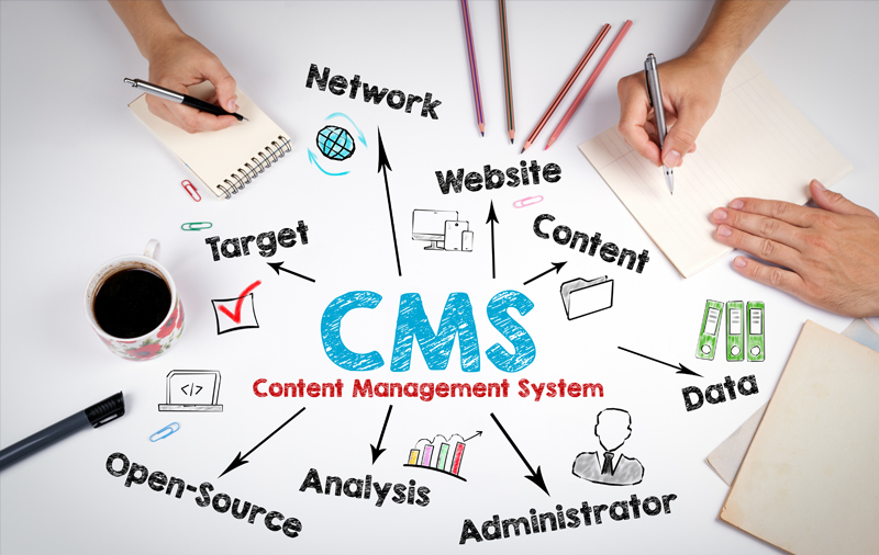 Erfolg durch Content Management Systeme